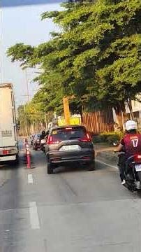 pick up and deliver po ng laundry guy's