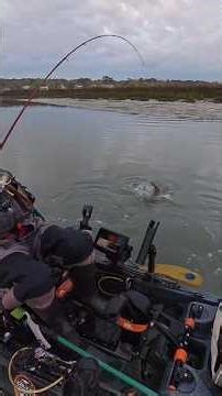 How to Catch Flounder #fishing #fishingmethods #flounder #kayakfishing