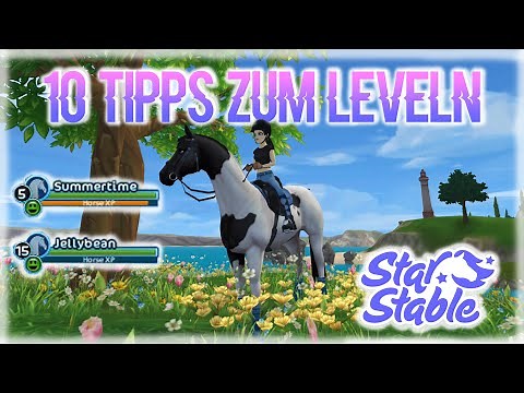 10 TIPPS zum LEVELN in SSO 💡 | SCHNELLER und KEINE LANGEWEILE beim leveln 📍 | StarStable Online