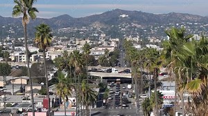 East Hollywood neighborhood with a view of the Griffith Observatory - aerial view through the palm trees