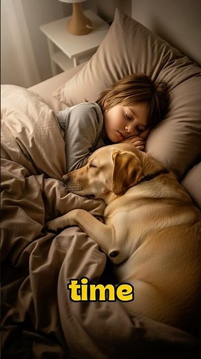 Best Dog Breeds For Families With Kids🐶♥️