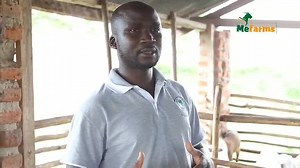 14 reactions · 17 shares | OUR BUSINESS PLAN PRODUCT IS TRANSFORMING...