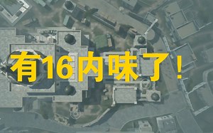 好家伙 这次味够冲的 codm大战场A12最高画质！