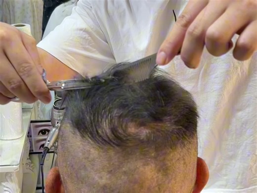 M型头型修剪教程