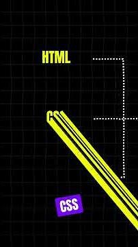 What are the main paths in web development