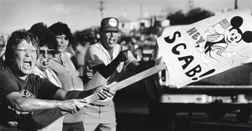 The making of Barbara Kingsolver