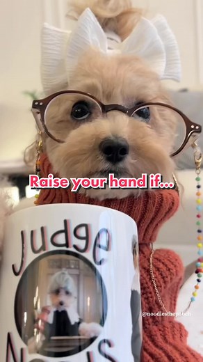 Noodles the Pooch: Office Humor and Corporate Life