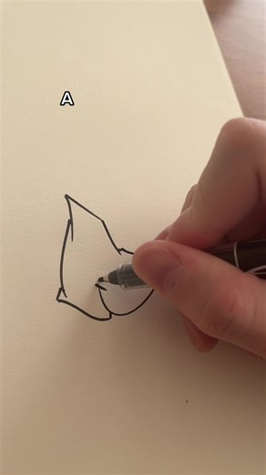 Drawing Process: Sketching an Animal with a Pen