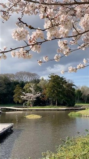 厳島湿性公園 2022年