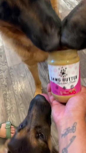 Paw Power Nutrition on TikTok