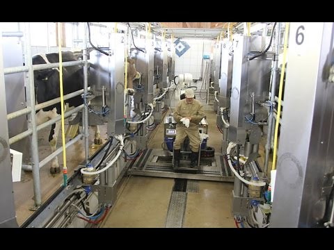 Siliconform Galactor: Melktaxi mit Multilactor im Einsatz