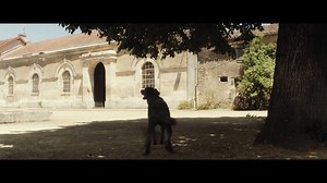 "Le Collier Rouge" le nouveau film de Jean Becker. Avec François Cluzet, Nicolas Duvauchelle et Sophie Verbeeck. Au cinéma le 28 mars. | Apollo Films