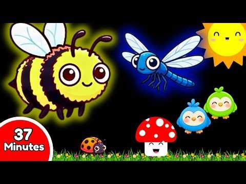 Newborn Sensory Adventure | High Contrast Visuals & Calming Music