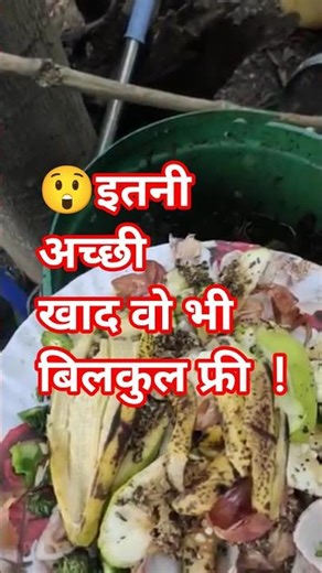 l😊Homemade fertiliser for fruit plants। fact video। random fact। #shorts