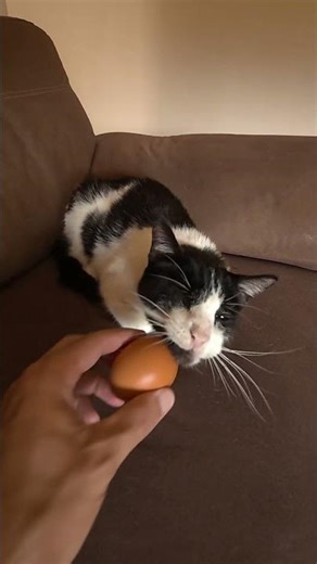 How NOT to fix a tile.