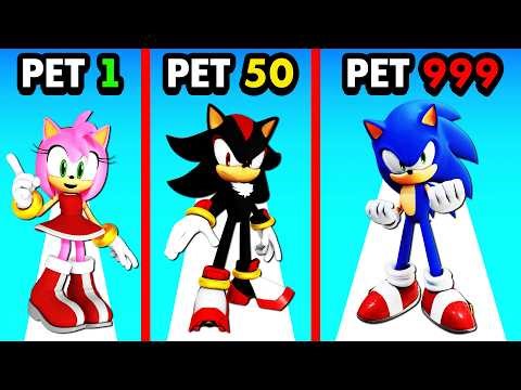 Upgrading My PET SONIC