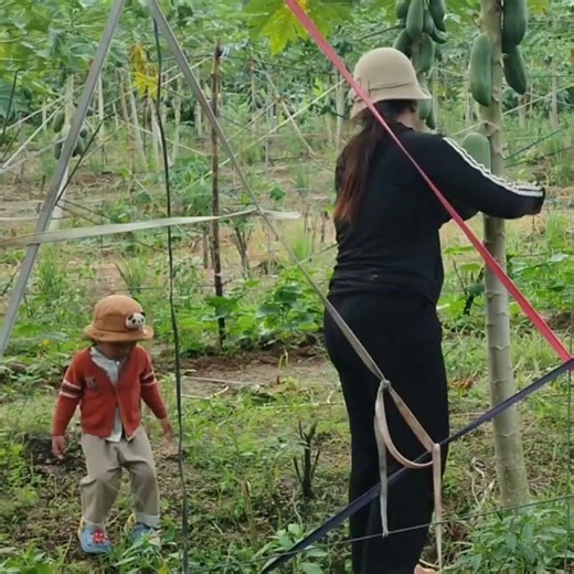Peaceful Village ASMR | Simple Harvest Moment 🌿