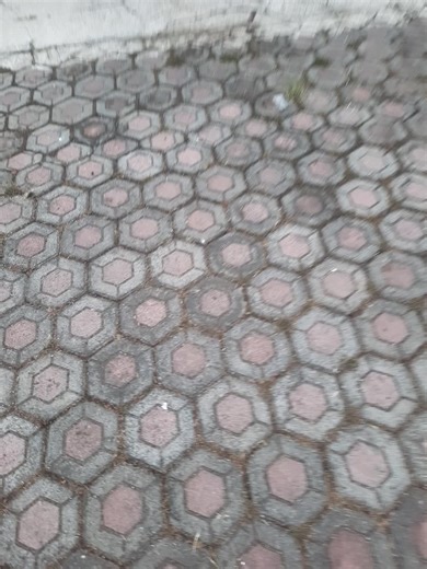 agus (@omagus74)’s videos with Wedding - køhvt