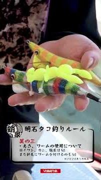 [2026] Akashi Octopus Fishing Rules