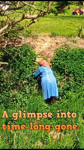Babushka Harvesting Nettles