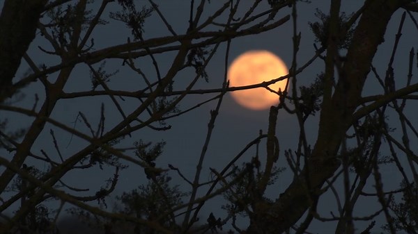 Ein himmlisches Spektakel: Der größte Vollmond des Jahres steht bevor