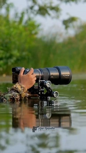 1.2M views · 10K reactions | Tes Gfx100s ii + Fujifilm GF 500mm f5.6 #wildlifephotography | Agus Syaputra | Facebook