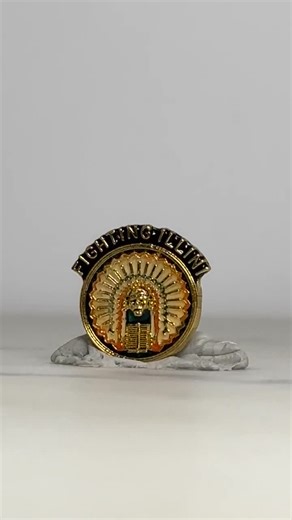 Fighting Illini Enamel Pin: Gold Tone & Enamel - Vintage Sports Accessory - Etsy