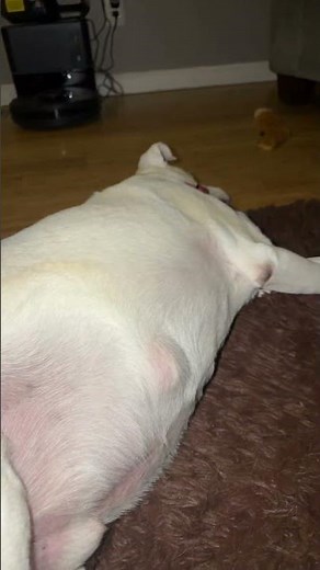 My lumpy space princess. 💜