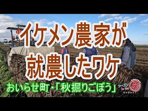 シーズンinthe産「おいらせ町・秋掘りごぼう」【イケメン農家が就農したワケ】Vol.78