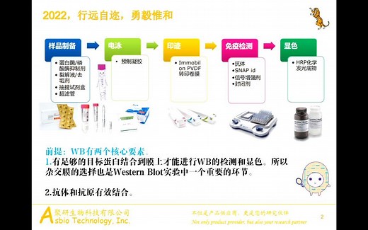 PVDF膜使用技巧及注意事项（2022版）