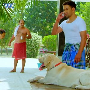 Super Hit Bhojpuri Movie Best Action | SIPAHI | Wave Music - Bhojpuri Movies