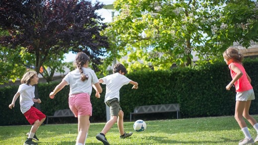 National Sports Day 2025: History, significance and all you need to know