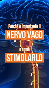 Siamo costantemente sotto stress tra luce blu del computer e ritmi frenetici. Questo "ipertono simpatico" ci logora e causa infiammazione cronica. Il nostro organismo ha però un "pilota automatico" per il restauro: il Nervo Vago. Attivarlo è fondamentale per fermare l'invecchiamento precoce e ritrovare l’equilibrio. 📺 Il video completo lo trovi su YouTube. Lì approfondiamo come resettare il sistema nervoso e spegnere l'infiammazione. 🎓 Vuoi un percorso completo? Iscriviti alla mia Masterclass 