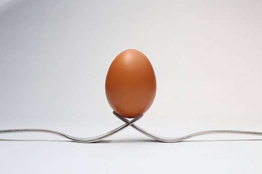 Remove Egg From Car Paint Without Any Damage - THIS Worked!