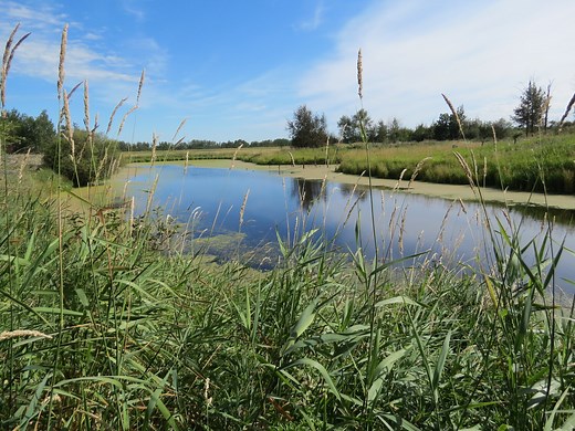 Golden Ranches — Edmonton & Area Land Trust