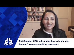 DataSnipper CEO talks about how AI enhances, but can't replace, auditing processes
