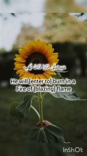 Quran shareef surah ✨️ #quran #quranictranslation