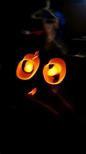 I love this little guy named robi AND being an objectum