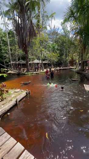 Bathing in Amazonian streams (igarapés) is one of the most traditional and refreshing experiences in the Amazon. Surrounded by rainforest, many of these small waterways have cool, crystal-clear waters or a reddish tint caused by organic matter from the surrounding vegetation. On hot tropical days, they become natural refuges for both locals and visitors, who enjoy the gentle currents, natural pools, and calm stretches to cool off. Beyond swimming, the combination of lush forest, birdsong, and fl