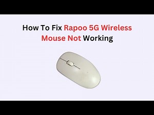 How to Fix Rapoo 5G Wireless Mouse Not Working – Full Troubleshooting Guide