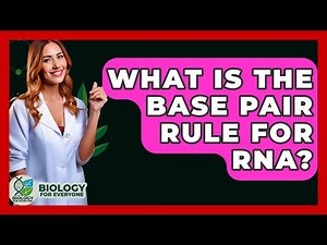 What Is The Base Pair Rule For RNA? - Biology For Everyone