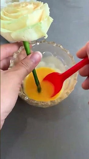 "How to Grow Beautiful Roses at Home 🌹 | Easy Gardening Tips"