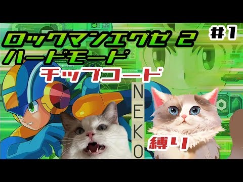 【#ロックマンエグゼ2】ハードモード/チップコードNEKO縛り【#ケモノ系vtuber】＃1※ネタバレ注意