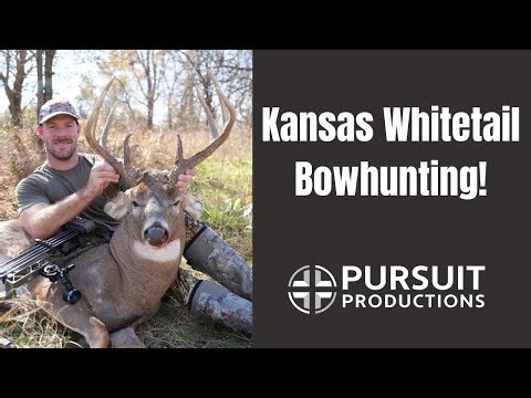 Kansas Bowhunting Whitetails!