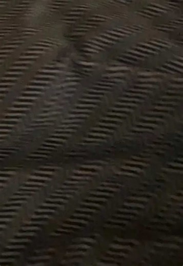 i got cringed | cringe tiktoks