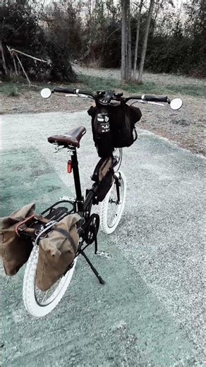 little simple minivelo