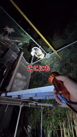 下着泥棒の家の中が凄かった
