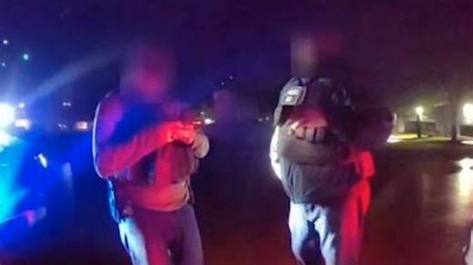 FOX 17 investigation: New law expands police body camera access for public