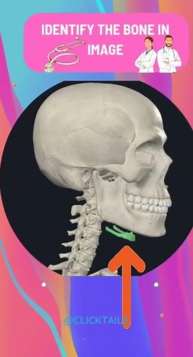 identify the bone anatomy bones quiz human bones quiz,human skeleton quiz,types of bones anatomy,