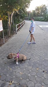 1M views · 3.7K reactions | Private Class วันนี้ ไปสอนเจ้าพุมบ้า...